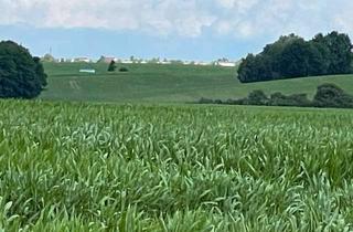 Grundstück zu kaufen in 23972 Dorf Mecklenburg, Grundstücke im B-Plan "Am Heizhaus"