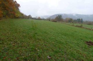 Grundstück zu kaufen in 56130 Bad Ems, Höchstbieterverfahren Grundstücke "Unterm Röderkopf", Bad Ems