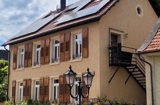 Immobilie mieten in 55286 Sulzheim, Warmmiete 1100 € - 61 m² - 2.0 Zi.