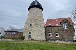 Immobilie mieten in Ostmilter Straße 27, 48231 Warendorf, Atelierhaus (ehemalige Mühle) zur Vermietung nach umfassender Renovierung