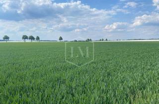 Immobilie kaufen in 41812 Erkelenz, Hochwertiges Ackerland in Erkelenz