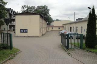 Gewerbeimmobilie kaufen in Johannisstraße 66, 08294 Lößnitz, Zu verkaufen, Produktions- und Lagerräume, Lößnitz, 3339m2 (Grundstücksfläche 8658m2)
