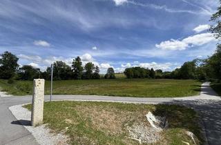 Gewerbeimmobilie kaufen in 94065 Waldkirchen, Landwirtschaftliche Fläche in Waldkirchen