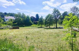 Grundstück zu kaufen in 88481 Balzheim, Grundstück in Balzheim – Idyllisch. Genehmigt. Bereit für Ihre Wohnvision.