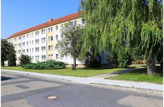 Wohnung mieten in Albrecht-Dürer-Straße 22, 04916 Herzberg, Wohnliche 3-Raum-Wohnung in Herzberg zu vermieten