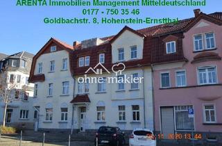 Wohnung mieten in 09337 Hohenstein-Ernstthal, Rarität - Tolle 2-Zimmer EG-Altbauwohnung mit Stellplatz