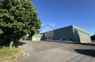 Büro zu mieten in 24539 Wittorf, Große, teils beheizbare Lager-/Produktionshallen (Nr. 4+5+6+8) in NMS-Süd mit Büro und Freiflächen