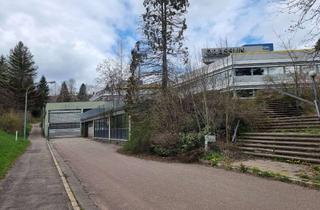 Anlageobjekt in 78112 St. Georgen, "Das interessante Objekt mit Pontenzial (Grundstücksgröße 21.913 m²)!"