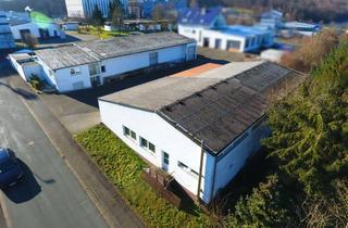 Anlageobjekt in 35781 Weilburg, Vollvermietete Lagerhallen mit grosszügigem Wohnstudio