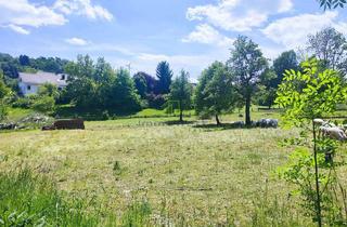 Grundstück zu kaufen in 88481 Balzheim, Grundstück in Balzheim – Idyllisch. Genehmigt. Bereit für Ihre Wohnvision.