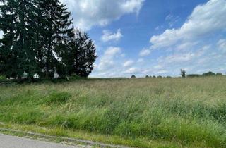 Grundstück zu kaufen in 64732 Bad König, Grundstück in Feldrandlage in Gumpersberg