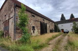 Mehrfamilienhaus kaufen in 02708 Löbau, Löbau - Wohnen auf dem Lande