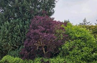Einfamilienhaus kaufen in 57482 Wenden, Wenden - Großes Einfamilienhaus in Wenden OT zu verkaufen