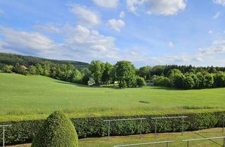 Wohnung kaufen in Zur Talsperre 21, 08541 Neuensalz, Preiswerte 2-Zimmer-Wohnung mit Balkon und direktem Blick auf die Talsperre Pöhl
