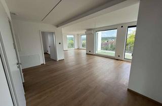 Penthouse mieten in Zehn Morgen, 74939 Zuzenhausen, Moderne Neubau-Penthouse-Wohnung mit großer Terrasse, Smart Home, Glasfaser und Garage.