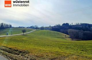Gewerbeimmobilie kaufen in 94154 Neukirchen, 13,3 ha top landwirtschaftliche Flächen (Acker und Grünland) im Lkrs. Passau - DIE Gelegenheit!