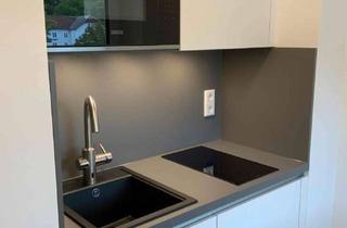 Wohnung mieten in Kapuzinerstraße 71a, 94032 Innstadt, Geschmackvolle 1-Zimmer-Dachgeschosswohnung in Passau - Nachmieter gesucht!