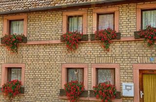 Bauernhaus kaufen in Hauptstraße 71, 63931 Kirchzell, Mein Backsteinhaus mit beeindruckender Scheune und 8 Liegenschaften 1600 m2 - TIERHALTUNG MÖGLICH !