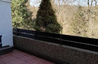 Wohnung mieten in 75378 Bad Liebenzell, Schöne ruhige 1.Zi. Wohnung mit EBK und Terrasse in Bad Liebenzell