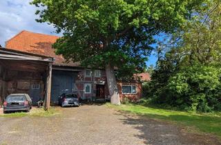 Bauernhaus kaufen in Düstere Straße, 31246 Groß Lafferde, Großzügiges Bauernhaus mit weitläufigem Grundstück