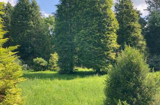 Grundstück zu kaufen in 27619 Schiffdorf, Freizeitgrundstück in Schiffdorf zu verkaufen