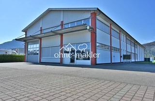 Gewerbeimmobilie kaufen in 79713 Bad Säckingen, Top Gepflegte Gewerbeimmobile mit großem Gewerbegrundstück