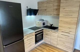 Immobilie mieten in Lerchenstr., 74638 Waldenburg, Möbliertes Einzimmerapartment mit Küche und Badezimmer
