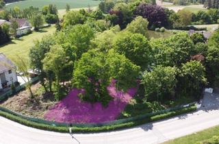 Grundstück zu kaufen in 91729 Haundorf, Herrliches Baugrundstück im fränkischen Seenland am See! Ab ca. 540m² für Ihr Traumhaus!