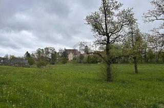 Grundstück zu kaufen in 88484 Gutenzell-Hürbel, Gutenzell-Hürbel - IHR TRAUM VOM BAUEN MIT BLICK AUF SCHLOSS HÜRBEL