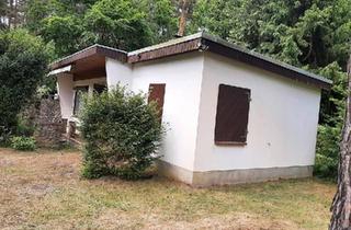 Haus kaufen in 06773 Gräfenhainichen, Gräfenhainichen - Bungalow am Königssee