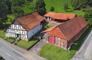 Haus kaufen in 31089 Duingen, Duingen - Resthof: Historischer Resthof mit Wirtschaftsgebäuden