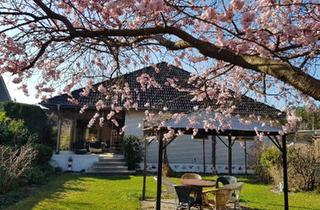 Einfamilienhaus kaufen in 29633 Munster, Munster - Schönes großes Einfamilienhaus zum Wohlfühlen