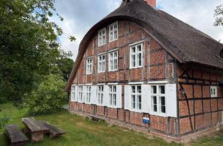 Haus kaufen in 19309 Lenzen, Lenzen (Elbe) - Ferienhaus DeichKind am Elbdeich zu verkaufen