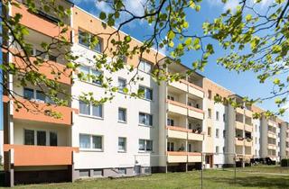 Wohnung mieten in An Der Kastanienallee, 23936 Grevesmühlen, geräumige 4-Zimmer-Wohnung im Erdgeschoss mit Balkon