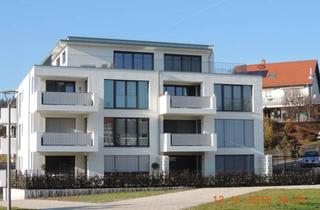 Wohnung mieten in 79730 Murg, Modern und hell - 2,5 Zimmerwohnung in Murg zentral - Erdgeschoss