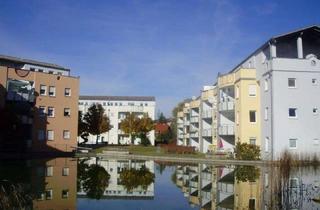 Wohnung mieten in Im Briele 15, 78234 Engen, Attraktive 2,5 Zimmer Erdgeschosswohnung mit Terrasse in Engen zu vermieten (ID168) (B20)
