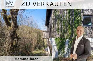 Einfamilienhaus kaufen in Weschnitzer Straße 48, 64689 Grasellenbach, Idyllisches Einfamilienhaus in Hammelbach – Ihr Rückzugsort im Herzen des Odenwalds