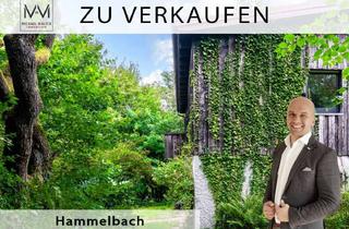Einfamilienhaus kaufen in Weschnitzer Straße 48, 64689 Grasellenbach, Idyllisches Einfamilienhaus in Hammelbach – Ihr Rückzugsort im Herzen des Odenwalds