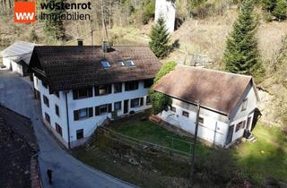 Mehrfamilienhaus kaufen in 77740 Bad Peterstal-Griesbach, Mehrfamilienhaus mit 5 Wohnungen in Bad Griesbach