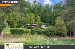Haus kaufen in 99310 Wipfratal, Einzigartige Alleinlage: Traumhafte Aussicht, absolute Ruhe, pure Natur