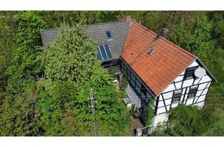 Haus kaufen in 07907 Göschitz, Vision gesucht - Grundstücke mit Haus und Mühle