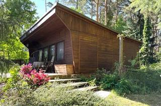 Haus kaufen in 06917 Jessen, Waldidylle trifft Gartenglück Freizeitparadies am Waldrand in Schweinitz