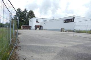 Gewerbeimmobilie mieten in Gewerbestr. 11, 83404 Ainring, Gewerbeobjekt mit Büro & Lagerflächen in Ainring/Mitterfelden – flexibel nutzbar