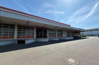 Büro zu mieten in 63843 Niedernberg, Gewerbeliegenschaft mit Lager- und Büroflächen zu vermieten