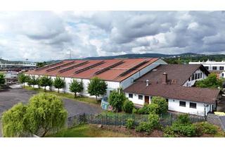 Büro zu mieten in 36179 Bebra, Vielseitig nutzbare Warmhalle mit Büro- und Sozialräumen