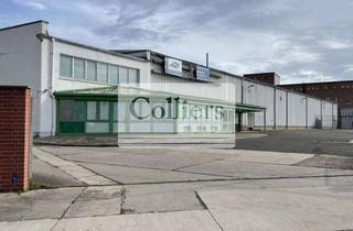 Gewerbeimmobilie mieten in 06667 Weißenfels, Lager-/Logistikfläche nahe der A9 | ab sofort | ca. 4.400 m² | teilbar