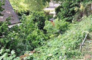 Grundstück zu kaufen in 92224 Amberg, Großzügiges Hanggrundstück mit Potenzial – ca. 1.300 m² in Amberg