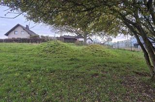 Grundstück zu kaufen in 53925 Kall, **Ihre Gelegenheit in der Eifel: Großes Baugrundstück in Kall-Sistig!**