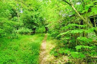 Grundstück zu kaufen in 39539 Havelberg, Lost Places & Naturidyll, perfekte Lage für Ferienunterkünfte!