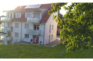 Wohnung mieten in 69257 Wiesenbach, Moderne 2-Zimmer-Wohnung mit Südbalkon in Wiesenbach